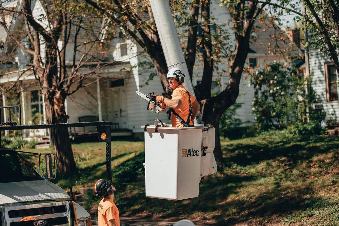 Trimming Trees with bucket truck